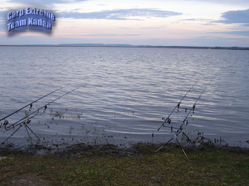 P9080041 [800x600].jpg