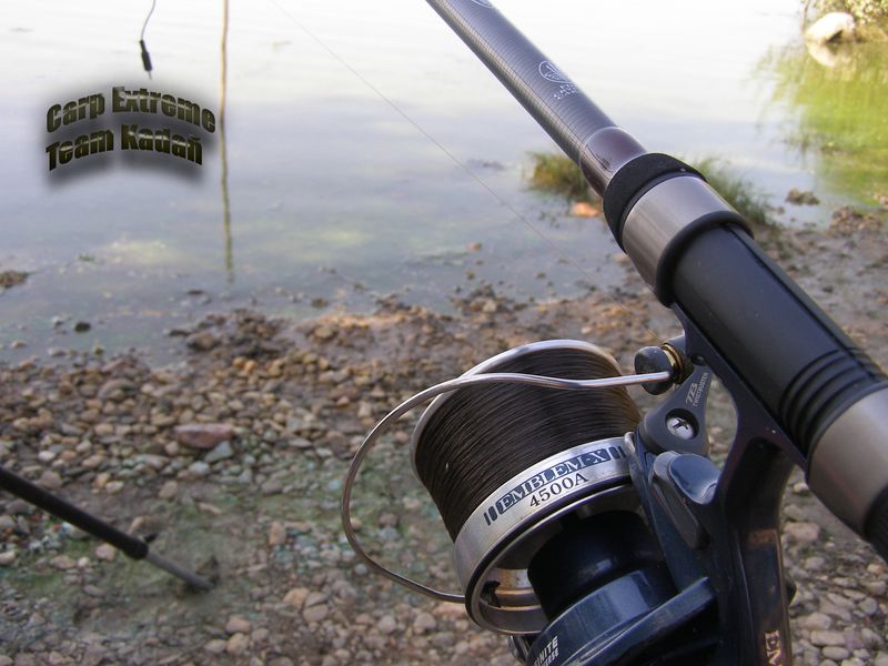 P9140092 [800x600].jpg